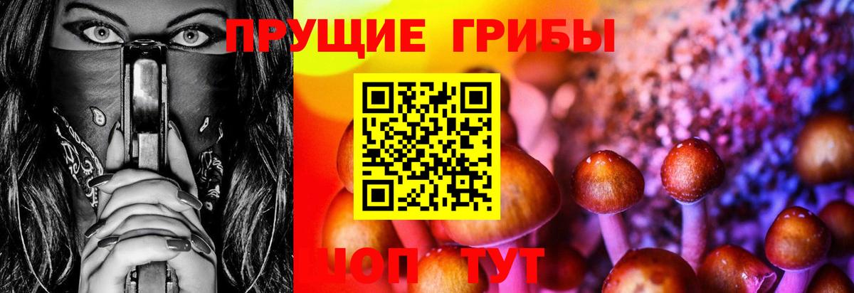 Псилоцибиновые грибы MAGIC MUSHROOMS Тосно